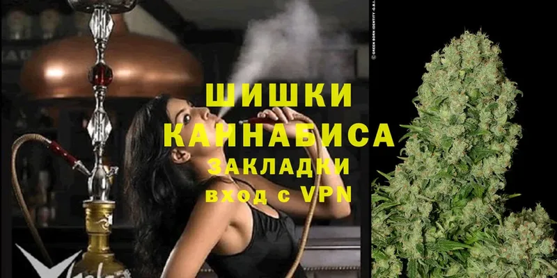 цены наркотик  Каргополь  Бошки Шишки SATIVA & INDICA 